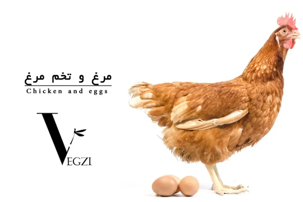 مرغ و تخم مرغ