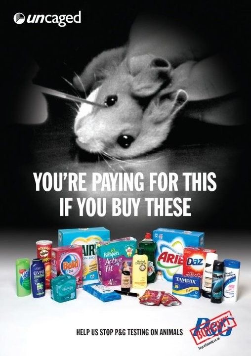 تست لوازم آرایش و بهداشتی روی حیوانات: ظلمی پنهان در دنیای زیبایی