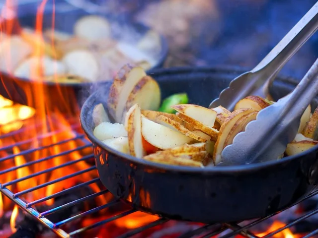 ایده غذای کمپینگ وگان