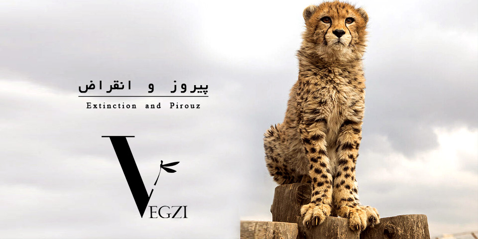 پیروز و انقراض‌