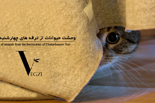 وحشت حیوانات از ترقههای چهارشنبهسوری