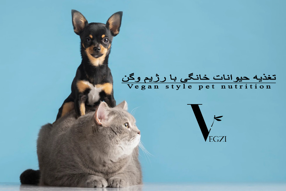 تغذیه حیوانات خانگی با رژیم وگن