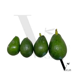 آووکادو ایرانی آووکادو ایرانی